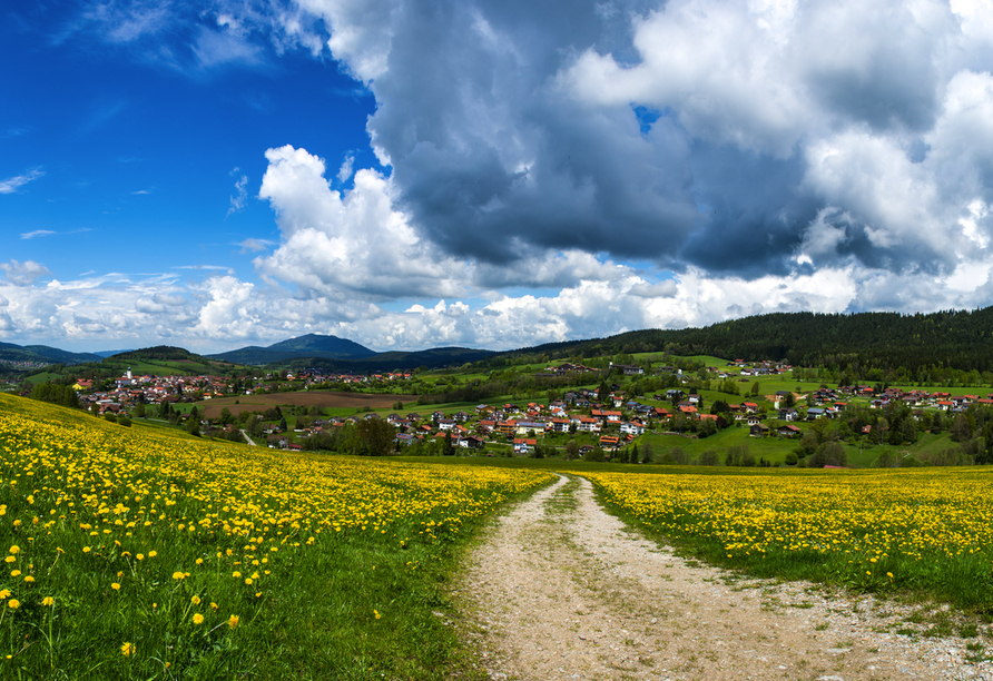 Lam gehört zweifelsfrei zu den idyllischsten Dörfern im Bayerischen Wald.