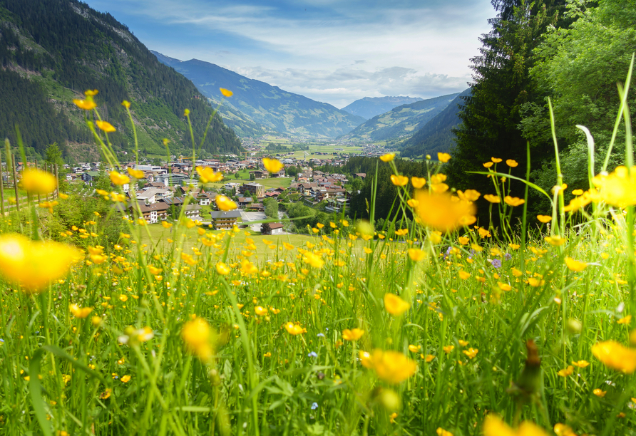 Entdecken Sie die wundervolle Natur der Zillertaler Alpen.