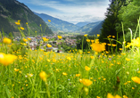 Entdecken Sie die wundervolle Natur der Zillertaler Alpen.