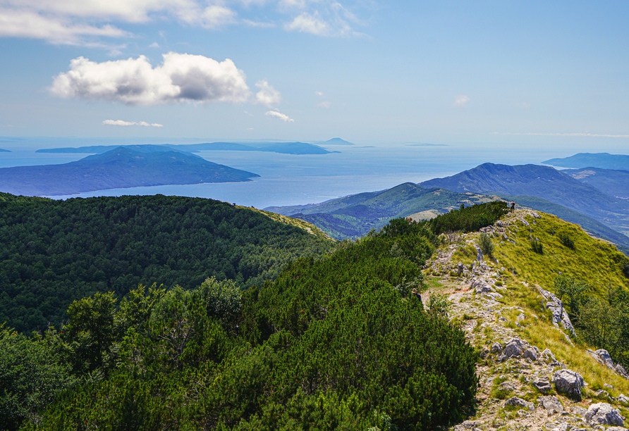 Genießen Sie den Ausblick vom Gipfel des Vojak – des höchsten Berges Istriens im Učka Nationalpark.