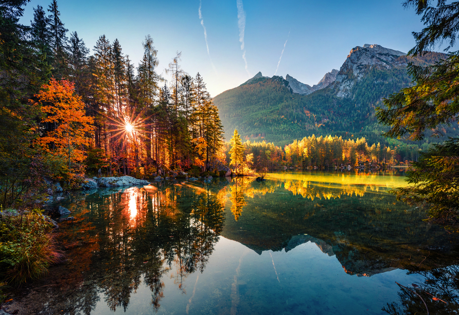 Worauf warten Sie noch? Buchen Sie jetzt und lassen Sie sich von den sagenhaften Naturpanoramen des Bayerischen Walds verzaubern!