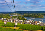 Genießen Sie bei einer Fahrt mit der Seilbahn das einzigartige Panorama über den Rhein und Rüdesheim.