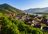 Blick über Spitz in der Wachau