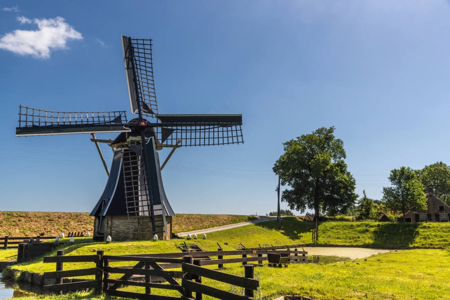 Besuchen Sie das Zuiderzee-Museum in Enkhuizen und bestaunen Sie die historischen Windmühlen.