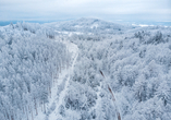 Bei Schnee verwandelt sich der Teutoburger Wald in ein Wintermärchen...