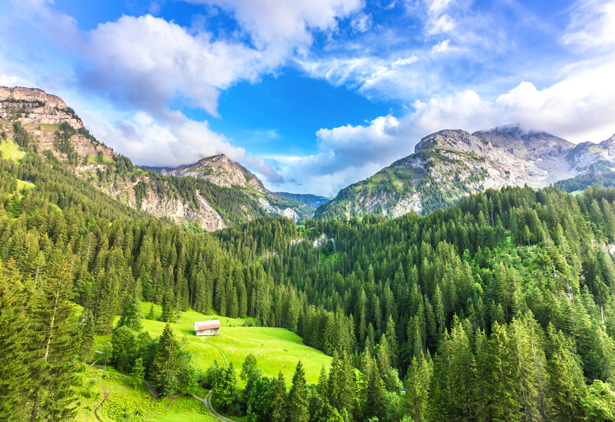Bestaunen Sie die faszinierende Berglandschaft bei Gstaad.