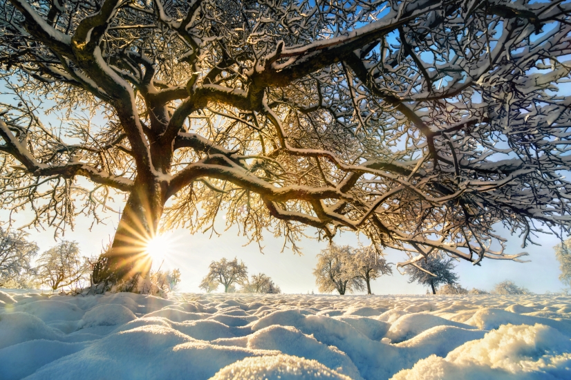 Erfreuen Sie sich an unzähligen Winterlandschaften.