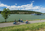 Radeln Sie entlang der Donau durch traumhafte Landschaften wie hier bei Pöchlarn in Niederösterreich.