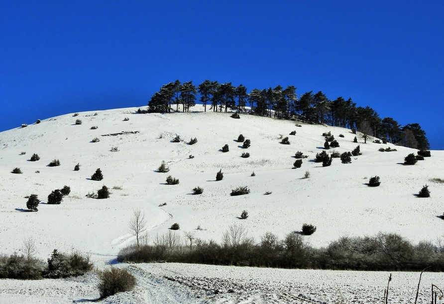 Der schneebedeckte Ipf in Bopfingen lädt zum Winterspaziergang ein.
