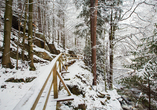 Die Region des Riesengebirges bietet auch im Winter tolle Landschaften.