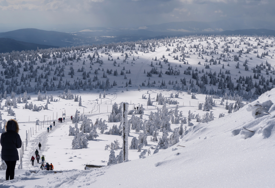 Wandern Sie durch das schneebedeckte Riesengebirge.
