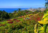Der Botanische Garten ist eines der beliebtesten Ausflugsziele in Funchal.