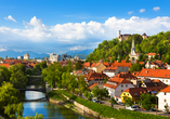 Freuen Sie sich auf die Besichtigung von Ljubljana, der malerischen Hauptstadt Sloweniens.