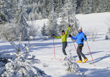 Erkunden Sie die wundervolle Winterlandschaft im Thüringer Wald.