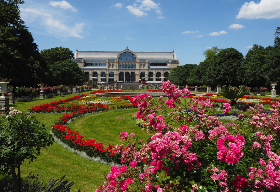 In den Sommermonaten blühen im Botanischen Garten in Köln prächtige Blumen und Pflanzen.