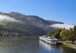 Herzlich willkommen an Bord von SE-MANON und auf der schönen Donau!