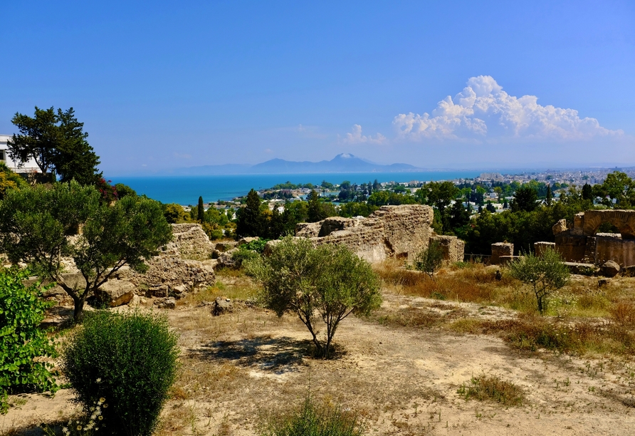 An die eindrucksvollen Ausflugsziele wie Karthago werden Sie sich noch lange zurückerinnern!