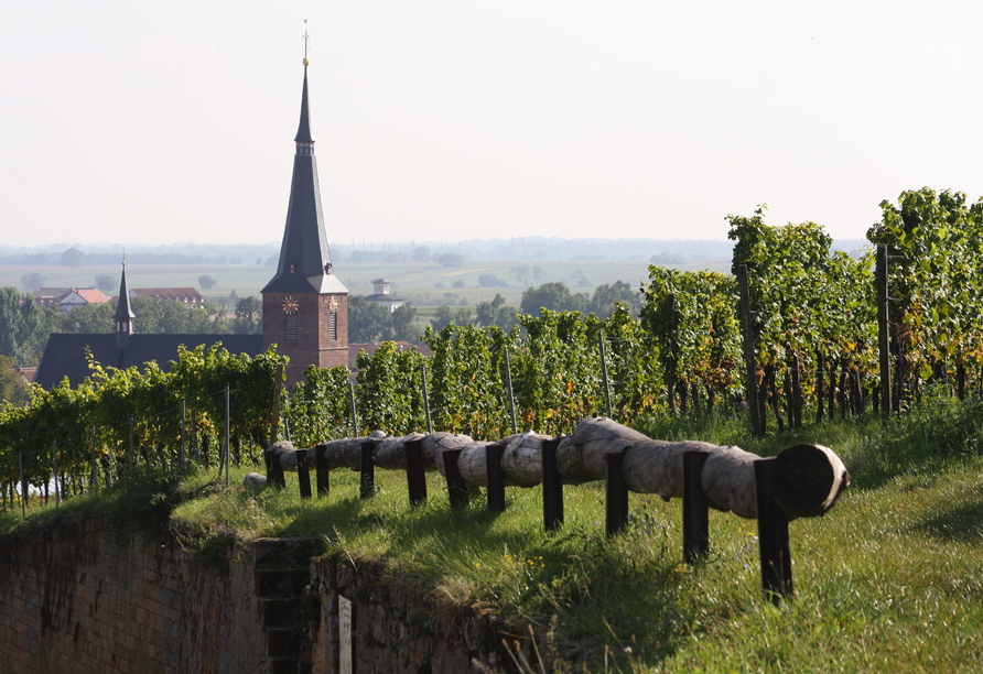 Der Weinbau spielt in der Region eine große Rolle.