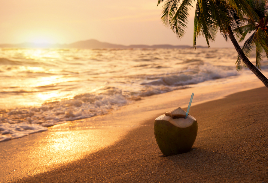 Entspannen Sie am Strand und genießen Sie den Geschmack Brasiliens mit einer Kokosnuss.