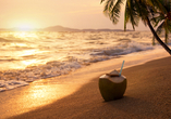 Entspannen Sie am Strand und genießen Sie den Geschmack Brasiliens mit einer Kokosnuss.
