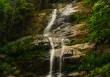 Regenwald-Erlebnisse warten im Tijuca Nationalpark auf Sie.