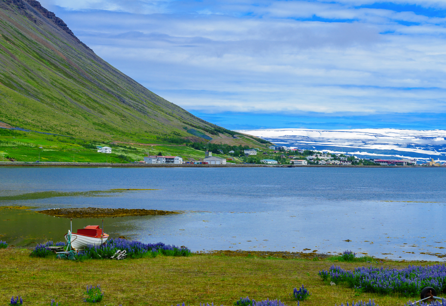 Im beschaulichen Ísafjörður lernen viel Sie über die Geschichte von Island.