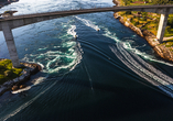 Unternehmen Sie eine Bootstour Boot zum Saltstraumen bei Bodø – dem stärksten Strudel der Welt.