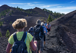 Unser Tipp auf La Palma: Wandern Sie entlang der Vulkanroute 