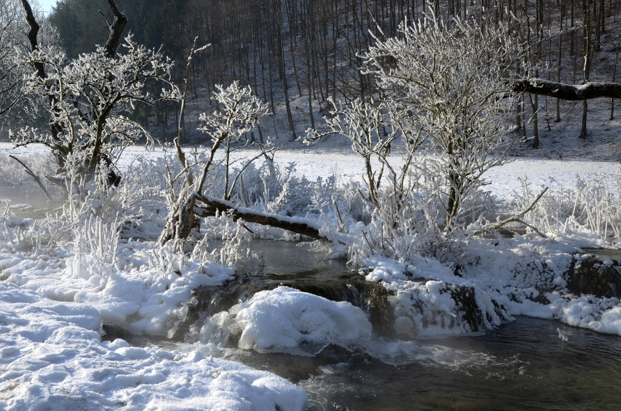 Ihr Weg zum Uracher Wasserfall führt unter anderem entlang des Brühlbachs.