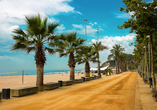 Schlendern Sie entlang der schönen Strandpromenade von Calella.