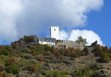 Burg Sterrenberg bei Kamp-Bornhofen