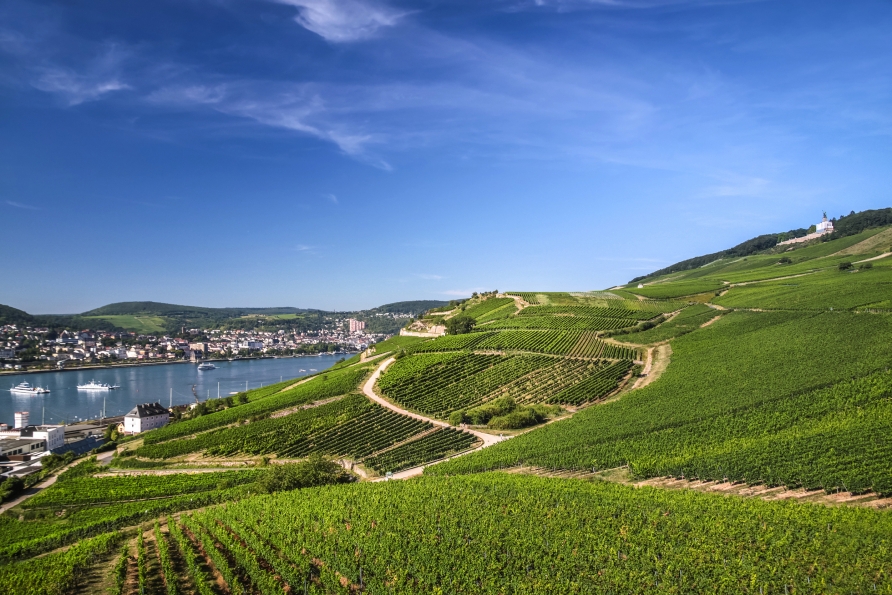 Rüdesheim liegt am Fuße des Rheingaus, umgeben von Weinbergen.