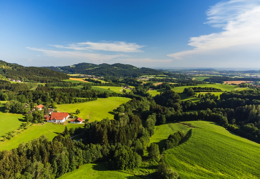 Genießen Sie die herrliche Landschaft des Bayerischen Walds.