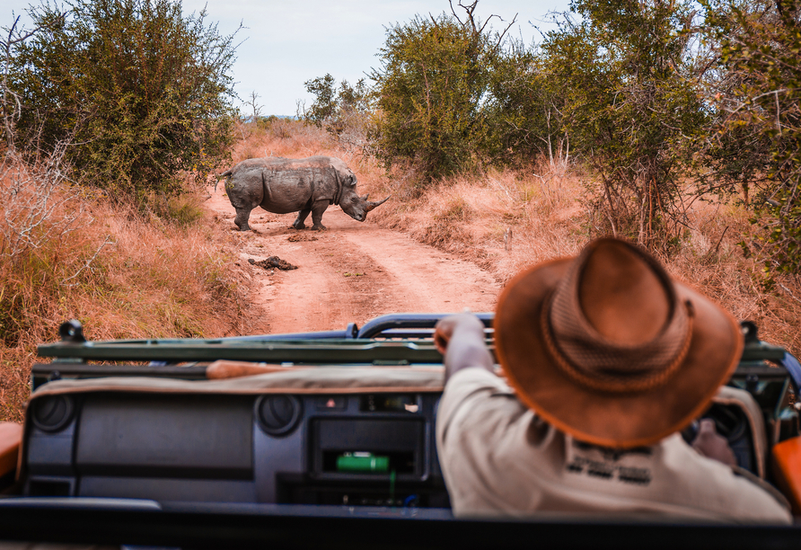 Bei Buchung der optionalen Safari erleben Sie Wildlife vom offenen Geländewagen aus.