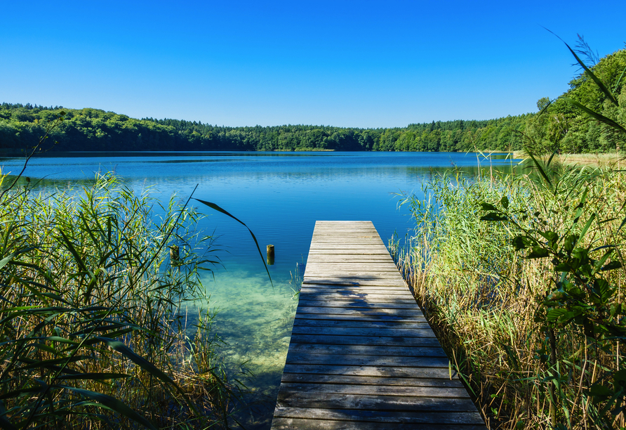 Spazieren Sie durch die wundervollen Landschaften der Mecklenburgischen Seenplatte und wandern Sie doch zum Beispiel an den Trünnersee.