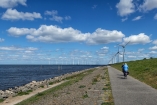 Erkunden Sie die Umgebung am Meer.