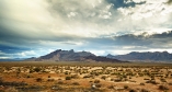 Bei der Durchquerung der kalifornischen Mojave-Wüste erleben Sie die Wüstenlandschaft hautnah.