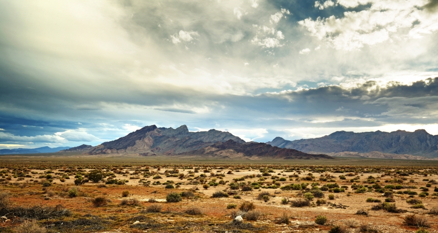 Bei der Durchquerung der kalifornischen Mojave-Wüste erleben Sie die Wüstenlandschaft hautnah.