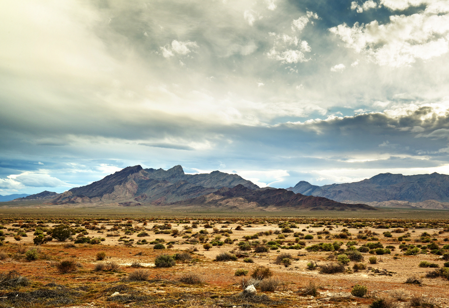 Bei der Durchquerung der kalifornischen Mojave-Wüste erleben Sie die Wüstenlandschaft hautnah.