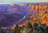 Der Grand Canyon liegt in Arizona und ist mit seinen tiefen Schluchten eines der vielen Highlights Ihrer Reise.