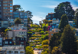 Die Lombard Street ist eine weltbekannte Straße in San Francisco, Kalifornien.