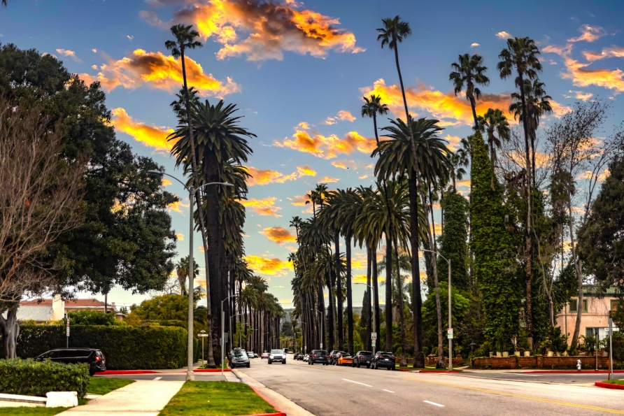 Im kalifornischen Beverly Hills in Los Angeles finden Sie die wundervolle Palmenallee.