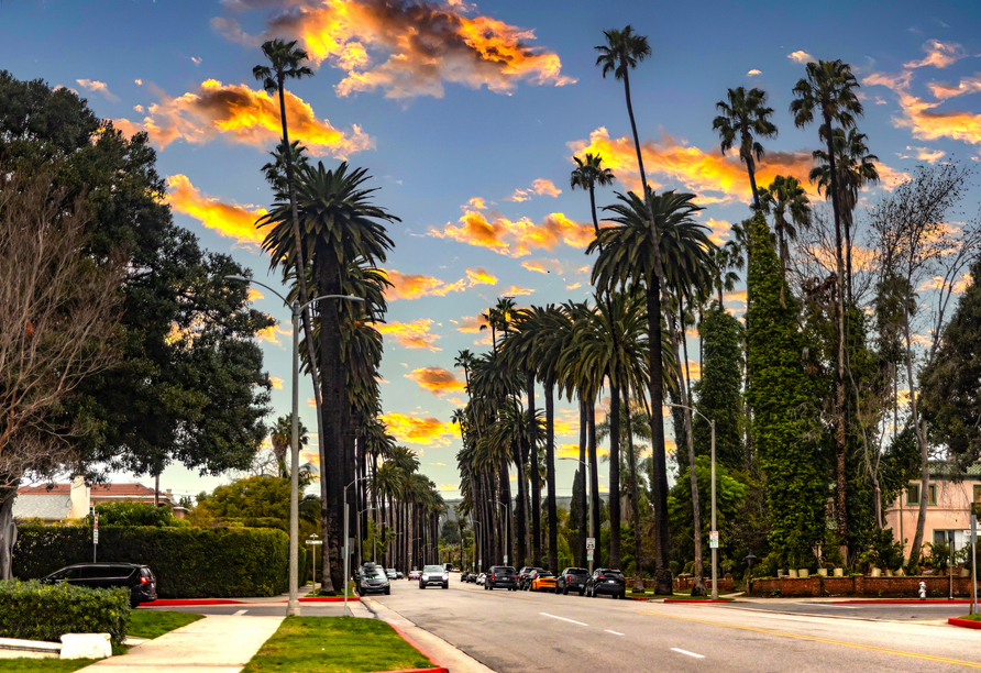 Im kalifornischen Beverly Hills in Los Angeles finden Sie die wundervolle Palmenallee.