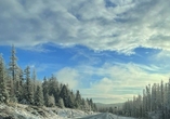 Märchenhaft schön verschneite Landschaft im Harz