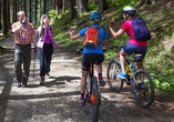 Unternehmen Sie eine Wanderung oder eine Radtour durch den Schwarzwald.