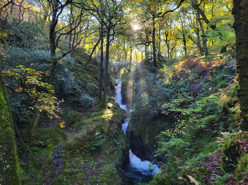 Erleben Sie die atemberaubende Natur Irlands!