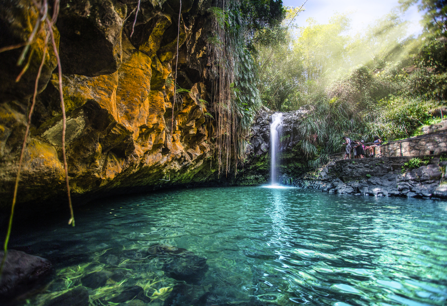Der Wasserfall Annandale Falls befindet sich auf Grenada, lediglich 8 km von St. George's entfernt – eine perfekte Ausflugsmöglichkeit!