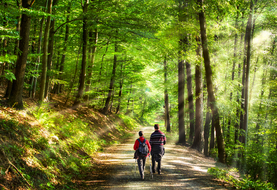 Der Westerwald eignet sich ideal für Wanderungen oder ausgedehnte Spaziergänge in der grünen Natur.
