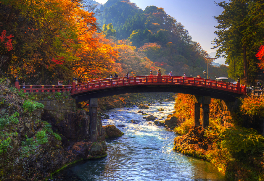 Bei dem optionalen Ausflug Nikko begegnen Sie traumhaften Landstrichen und erleben die Schönheit Japans mit allen Sinnen.