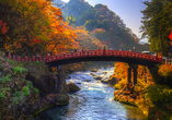 Bei dem optionalen Ausflug Nikko begegnen Sie traumhaften Landstrichen und erleben die Schönheit Japans mit allen Sinnen.